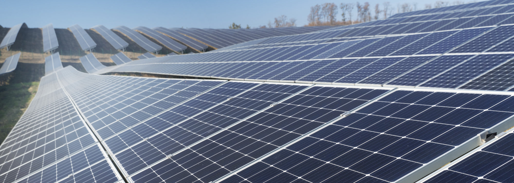 Bild einer Freiflächen-Photovoltaikanlage